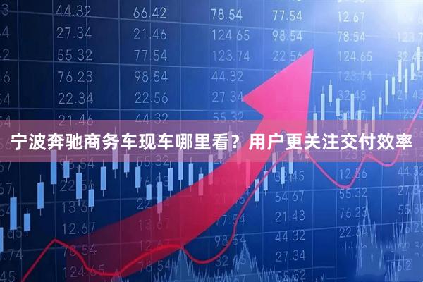 宁波奔驰商务车现车哪里看？用户更关注交付效率