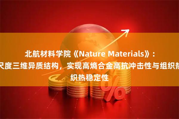 北航材料学院《Nature Materials》：构筑多尺度三维异质结构，实现高熵合金高抗冲击性与组织热稳定性