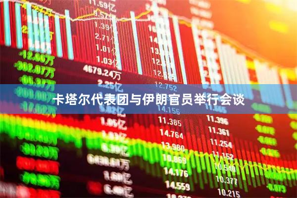 卡塔尔代表团与伊朗官员举行会谈